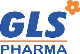 Your Company Name